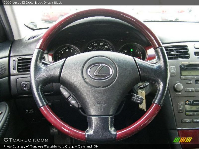 Black Onyx / Black 2002 Lexus ES 300