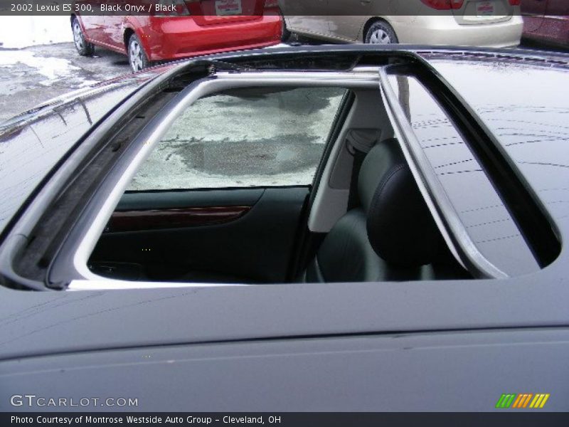 Black Onyx / Black 2002 Lexus ES 300