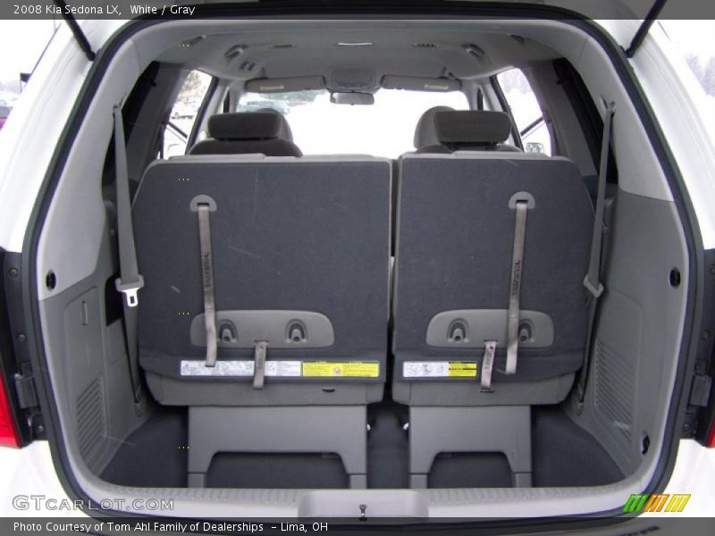 White / Gray 2008 Kia Sedona LX