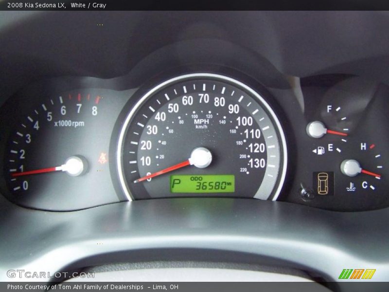 White / Gray 2008 Kia Sedona LX