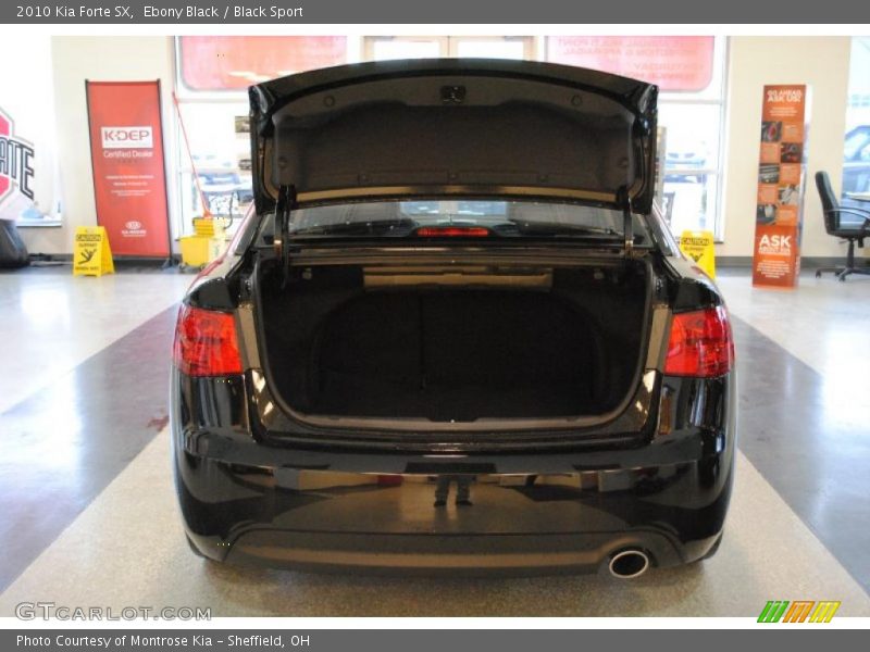 Ebony Black / Black Sport 2010 Kia Forte SX