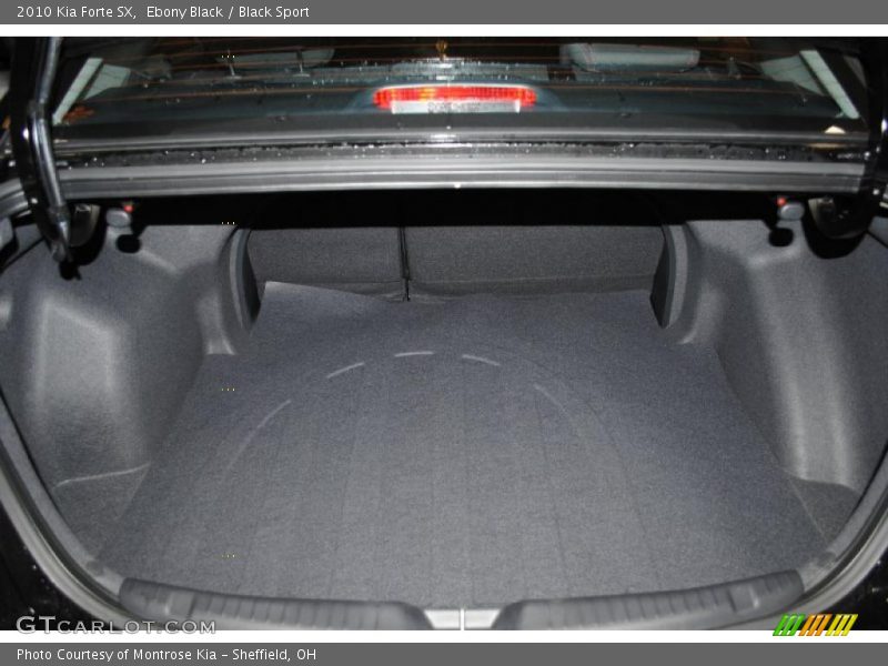 Ebony Black / Black Sport 2010 Kia Forte SX