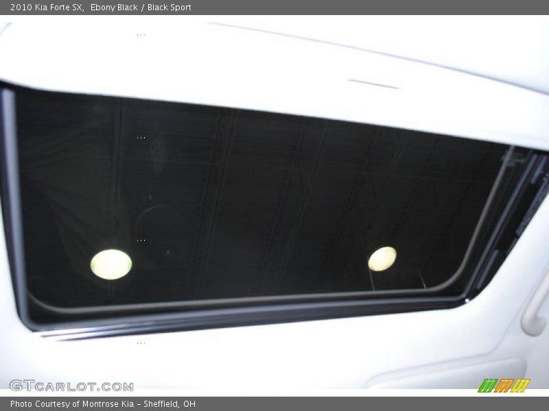 Ebony Black / Black Sport 2010 Kia Forte SX