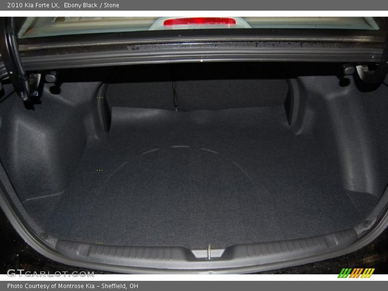 Ebony Black / Stone 2010 Kia Forte LX