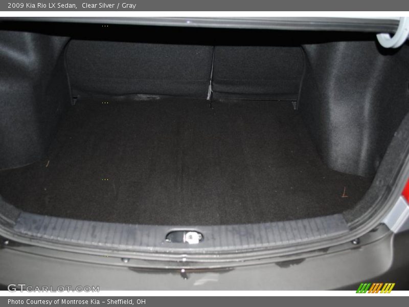 Clear Silver / Gray 2009 Kia Rio LX Sedan