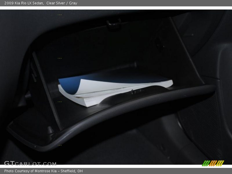 Clear Silver / Gray 2009 Kia Rio LX Sedan