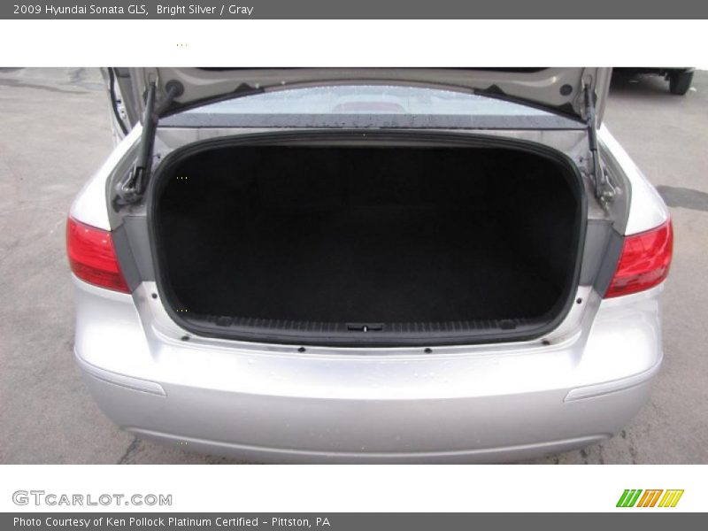 Bright Silver / Gray 2009 Hyundai Sonata GLS