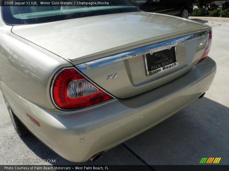 Winter Gold Metallic / Champagne/Mocha 2008 Jaguar XJ XJ8