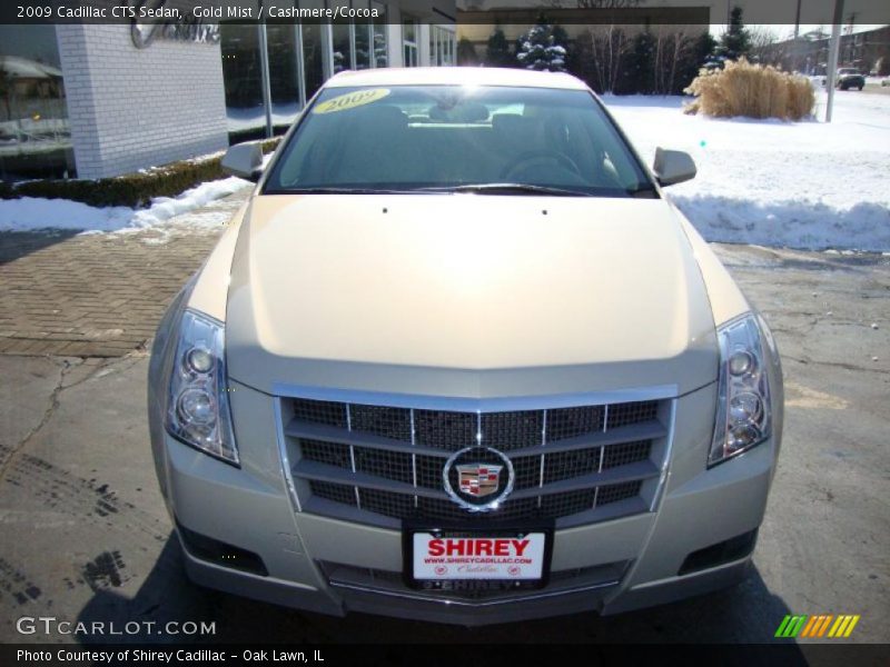 Gold Mist / Cashmere/Cocoa 2009 Cadillac CTS Sedan