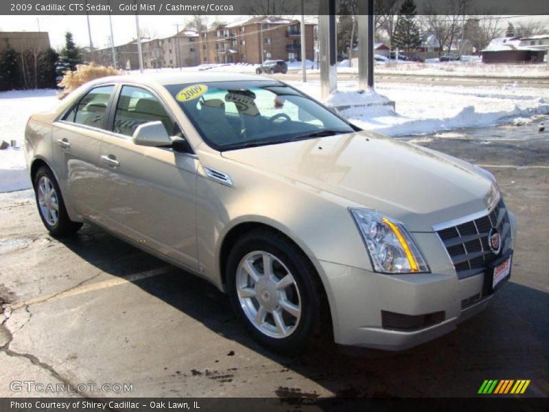 Gold Mist / Cashmere/Cocoa 2009 Cadillac CTS Sedan
