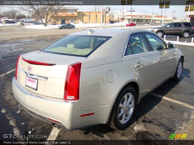Gold Mist / Cashmere/Cocoa 2009 Cadillac CTS Sedan