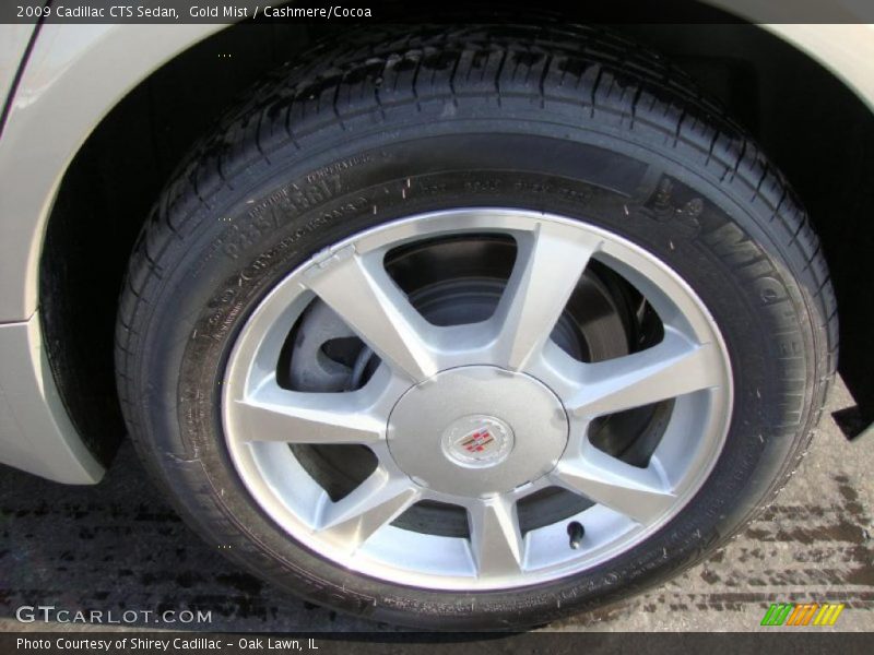 Gold Mist / Cashmere/Cocoa 2009 Cadillac CTS Sedan