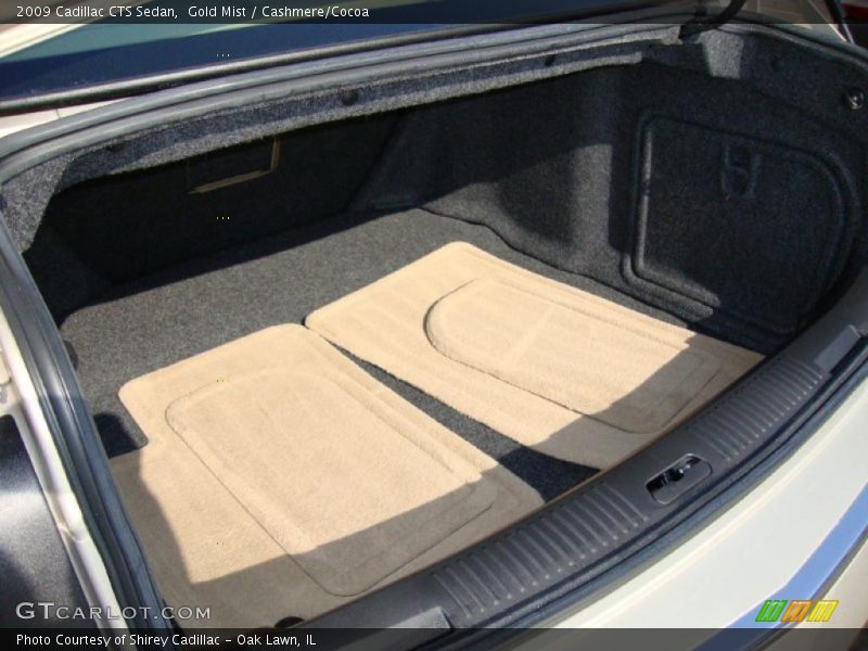 Gold Mist / Cashmere/Cocoa 2009 Cadillac CTS Sedan