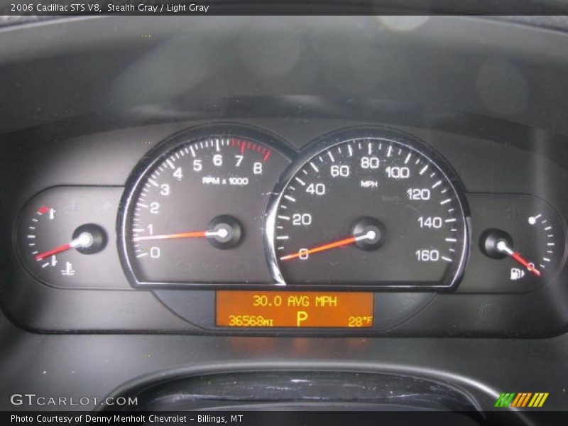 Stealth Gray / Light Gray 2006 Cadillac STS V8