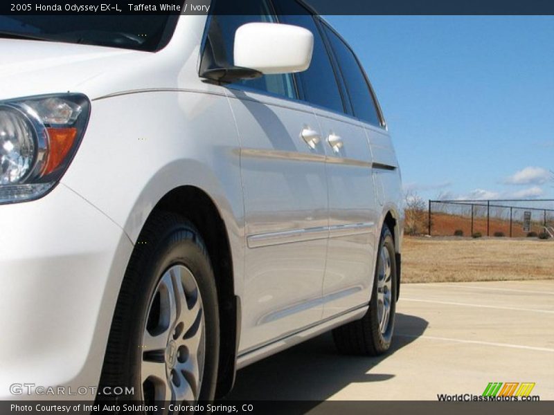 Taffeta White / Ivory 2005 Honda Odyssey EX-L