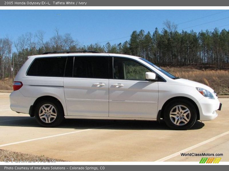 Taffeta White / Ivory 2005 Honda Odyssey EX-L