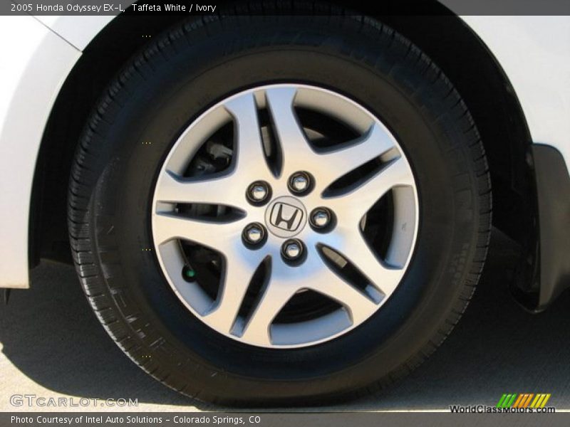 Taffeta White / Ivory 2005 Honda Odyssey EX-L