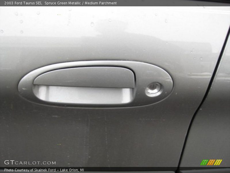 Spruce Green Metallic / Medium Parchment 2003 Ford Taurus SES