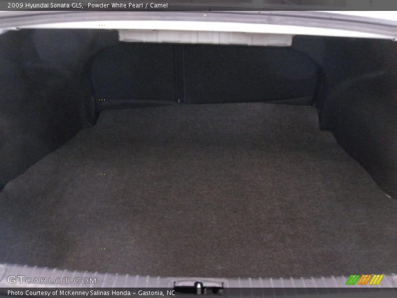 Powder White Pearl / Camel 2009 Hyundai Sonata GLS