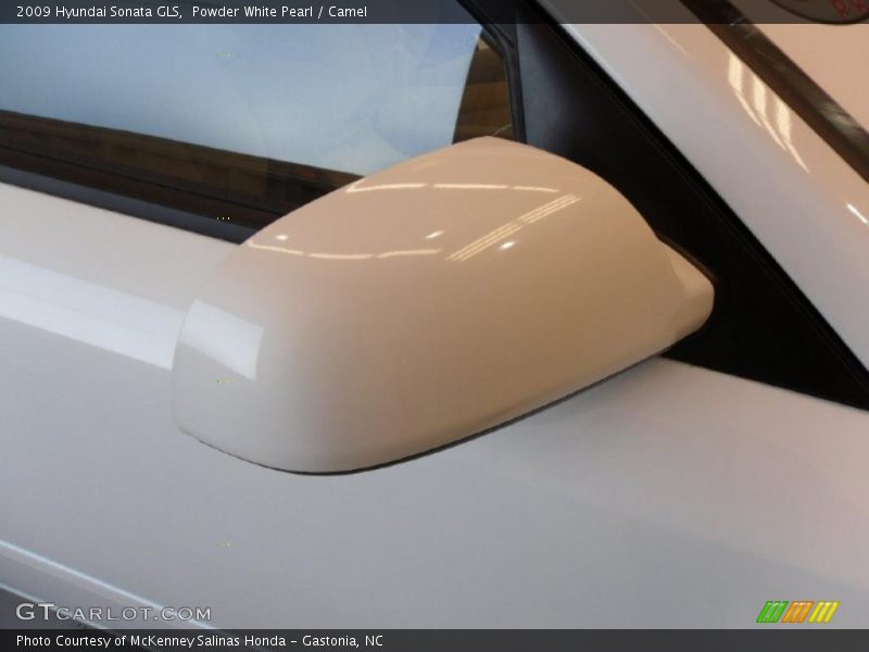 Powder White Pearl / Camel 2009 Hyundai Sonata GLS