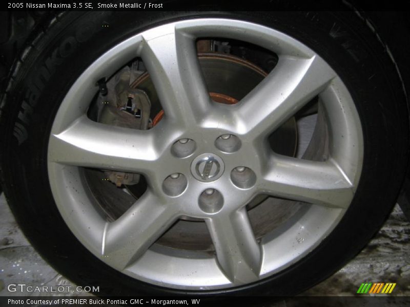 Smoke Metallic / Frost 2005 Nissan Maxima 3.5 SE