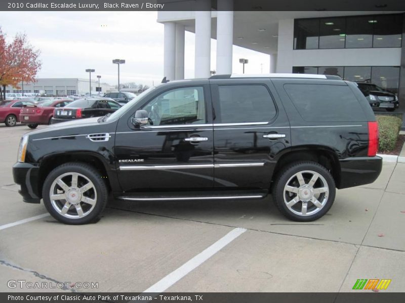 Black Raven / Ebony 2010 Cadillac Escalade Luxury
