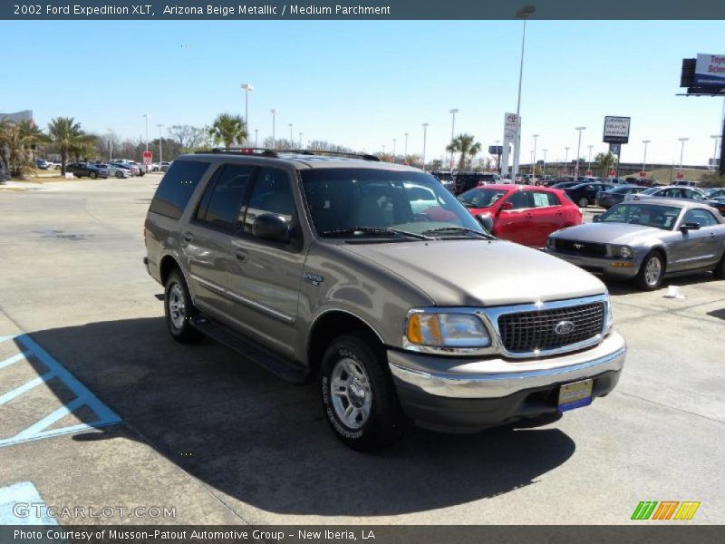Arizona Beige Metallic / Medium Parchment 2002 Ford Expedition XLT