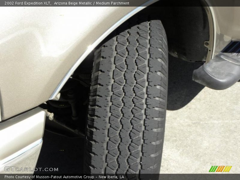 Arizona Beige Metallic / Medium Parchment 2002 Ford Expedition XLT