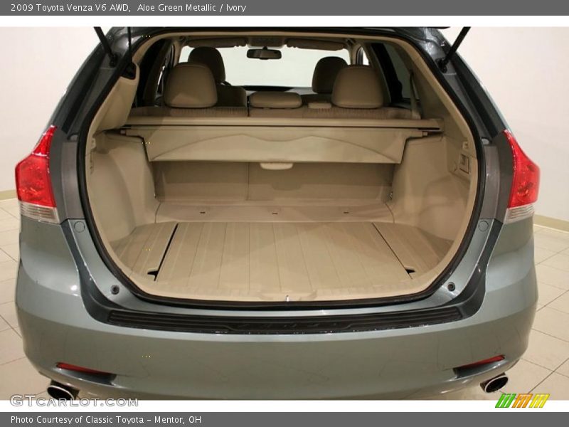Aloe Green Metallic / Ivory 2009 Toyota Venza V6 AWD