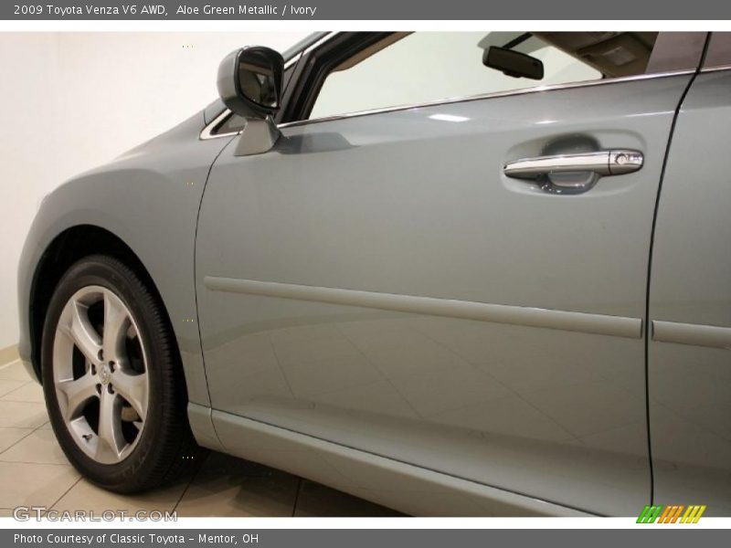 Aloe Green Metallic / Ivory 2009 Toyota Venza V6 AWD