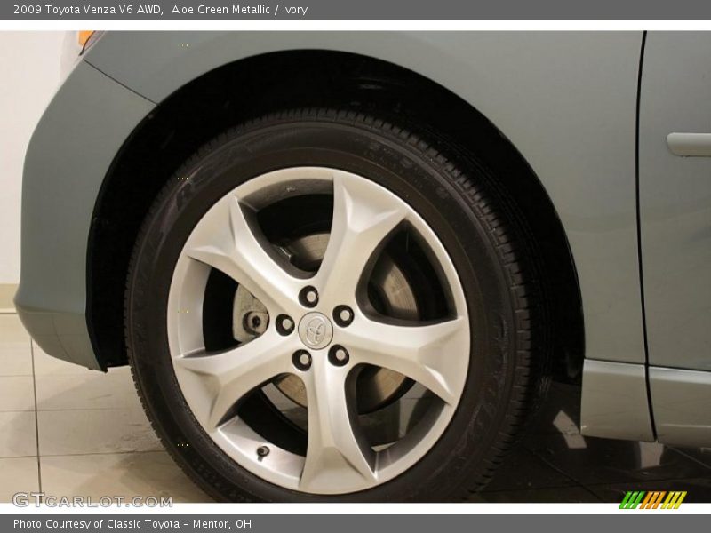 Aloe Green Metallic / Ivory 2009 Toyota Venza V6 AWD