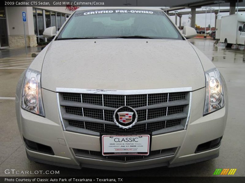 Gold Mist / Cashmere/Cocoa 2009 Cadillac CTS Sedan