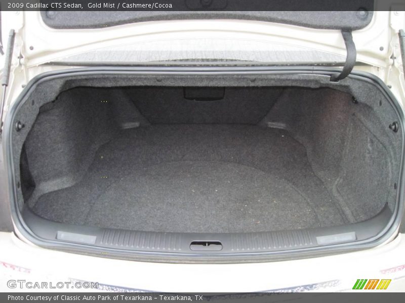 Gold Mist / Cashmere/Cocoa 2009 Cadillac CTS Sedan