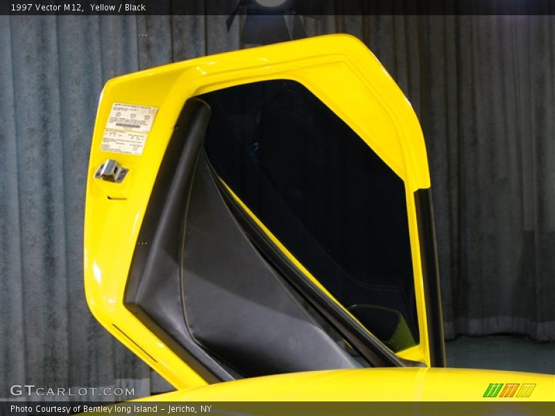 Yellow / Black 1997 Vector M12