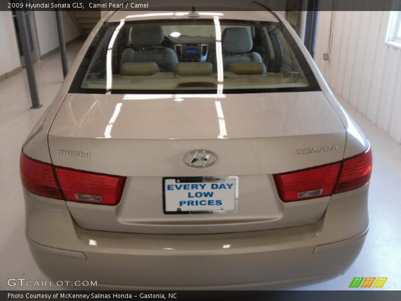 Camel Pearl / Camel 2009 Hyundai Sonata GLS