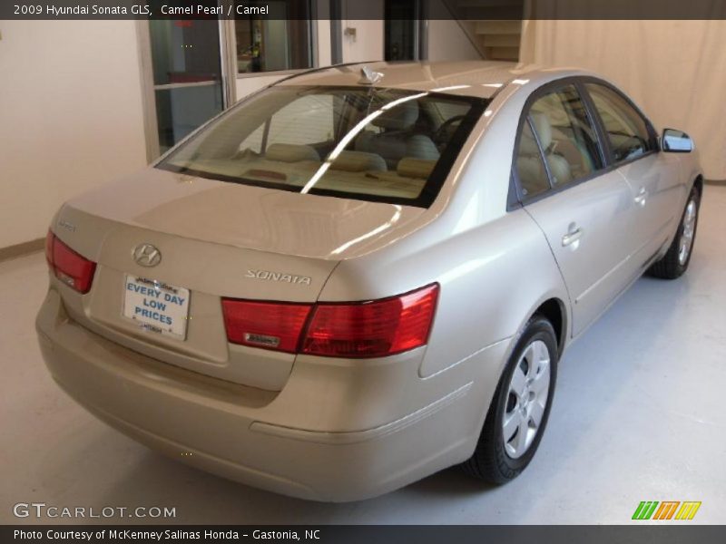 Camel Pearl / Camel 2009 Hyundai Sonata GLS