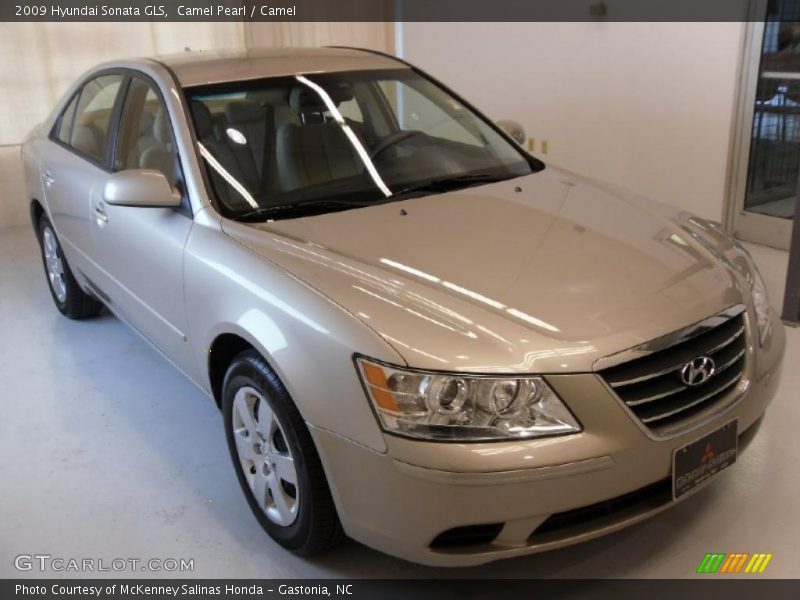 Camel Pearl / Camel 2009 Hyundai Sonata GLS