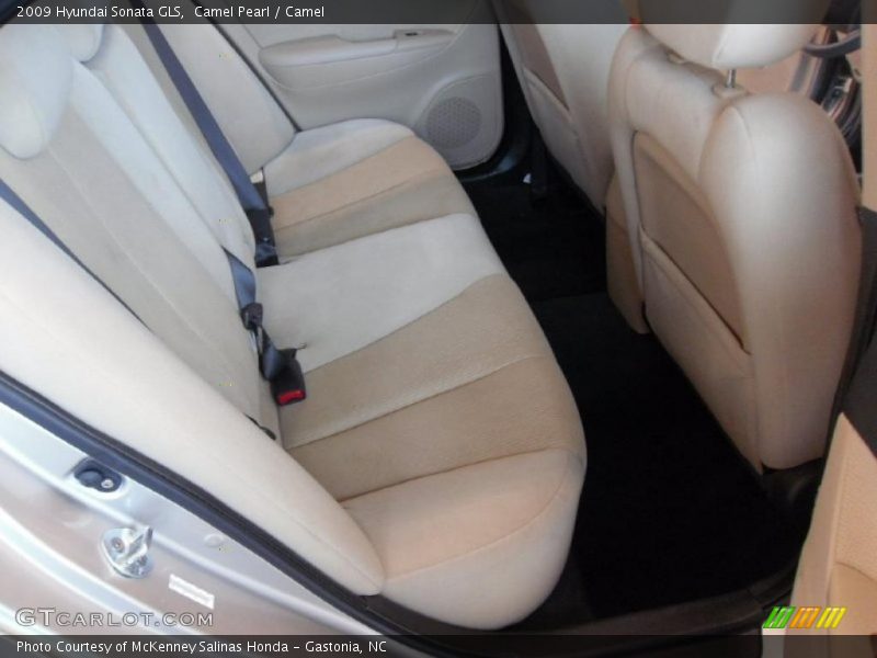 Camel Pearl / Camel 2009 Hyundai Sonata GLS