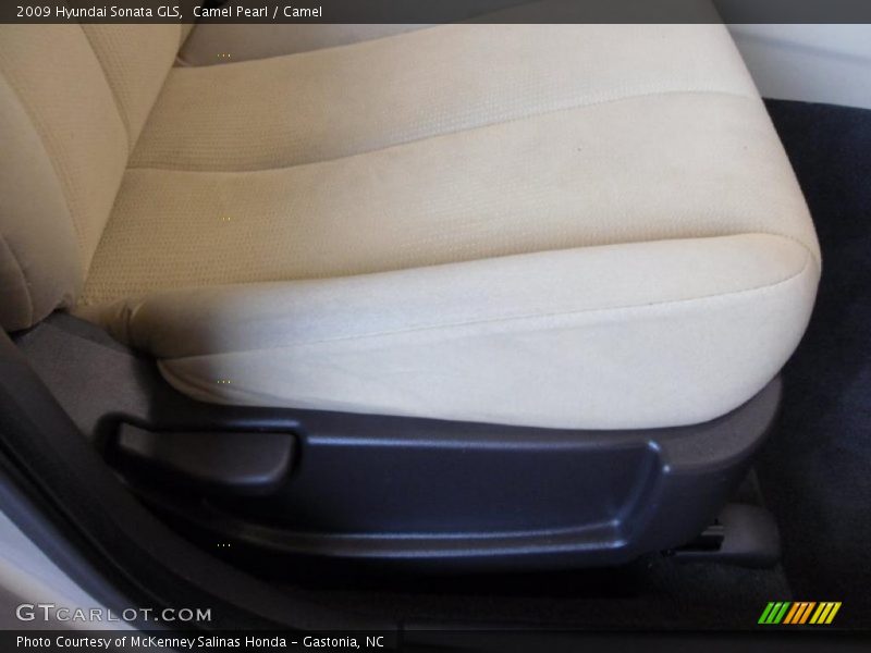 Camel Pearl / Camel 2009 Hyundai Sonata GLS