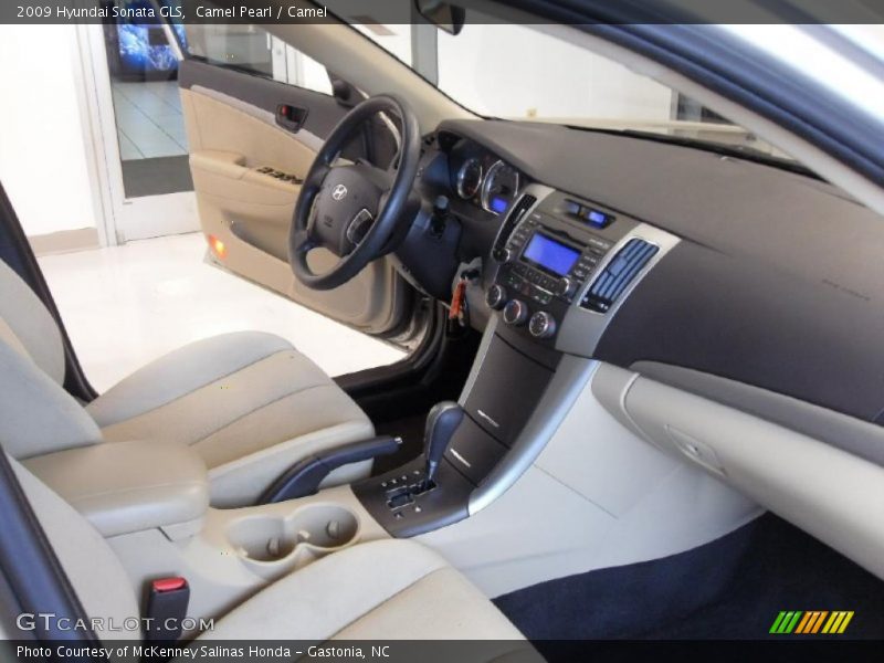 Camel Pearl / Camel 2009 Hyundai Sonata GLS