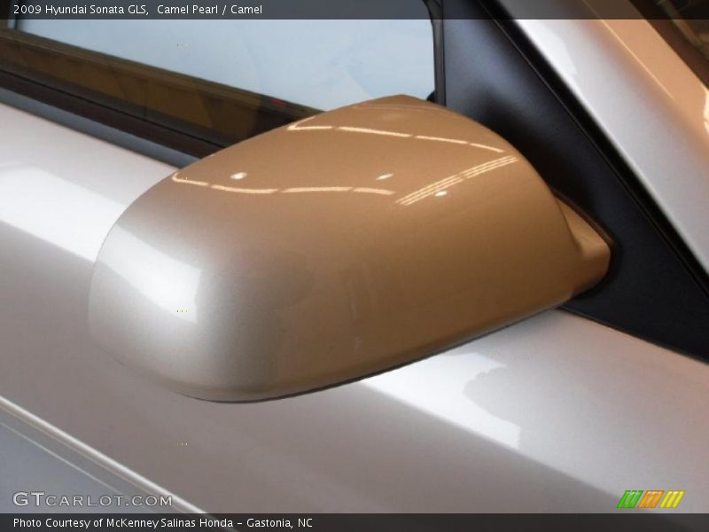 Camel Pearl / Camel 2009 Hyundai Sonata GLS