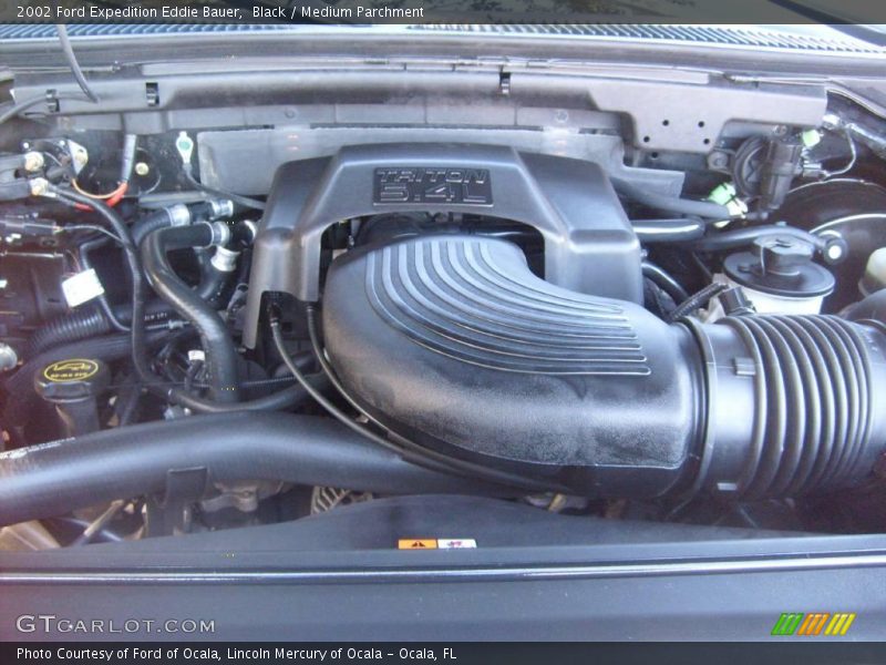 Black / Medium Parchment 2002 Ford Expedition Eddie Bauer