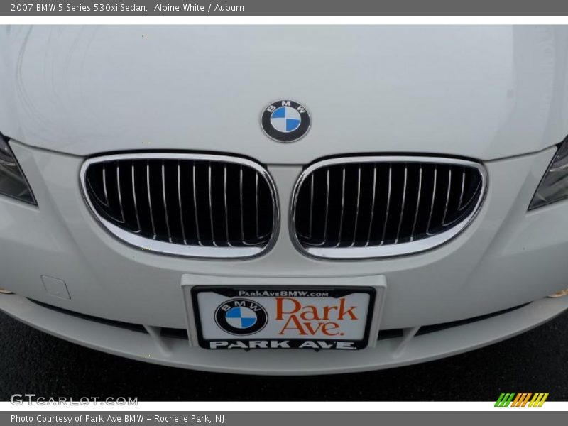 Alpine White / Auburn 2007 BMW 5 Series 530xi Sedan
