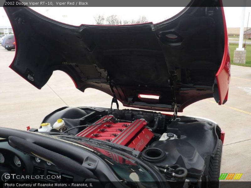 Viper Red / Black 2002 Dodge Viper RT-10