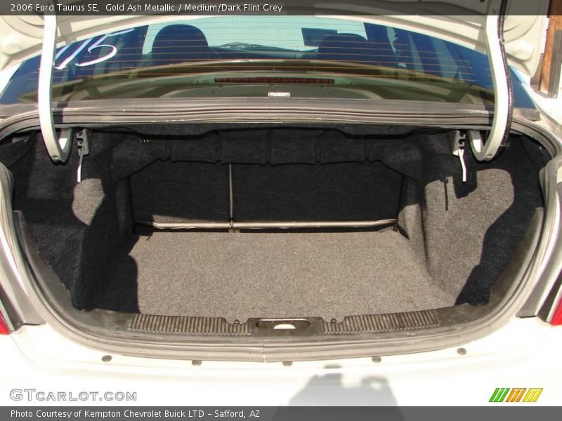 Gold Ash Metallic / Medium/Dark Flint Grey 2006 Ford Taurus SE