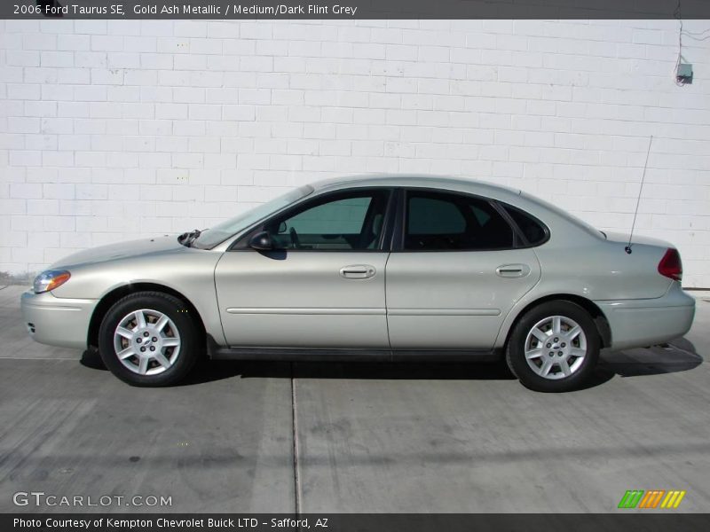 Gold Ash Metallic / Medium/Dark Flint Grey 2006 Ford Taurus SE