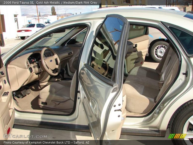 Gold Ash Metallic / Medium/Dark Flint Grey 2006 Ford Taurus SE