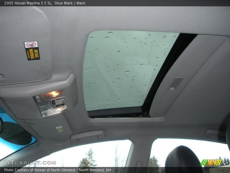 Onyx Black / Black 2005 Nissan Maxima 3.5 SL