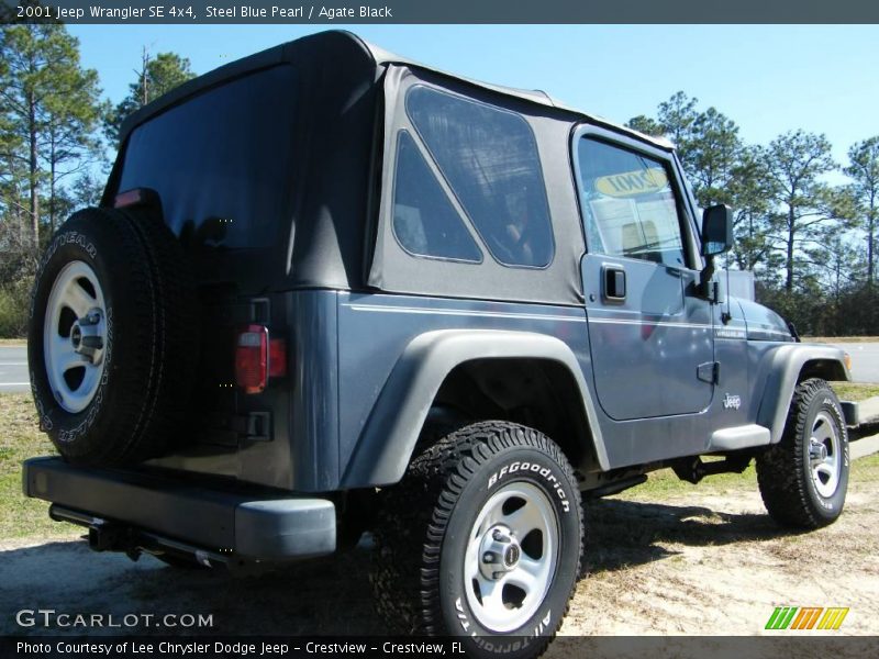 Steel Blue Pearl / Agate Black 2001 Jeep Wrangler SE 4x4