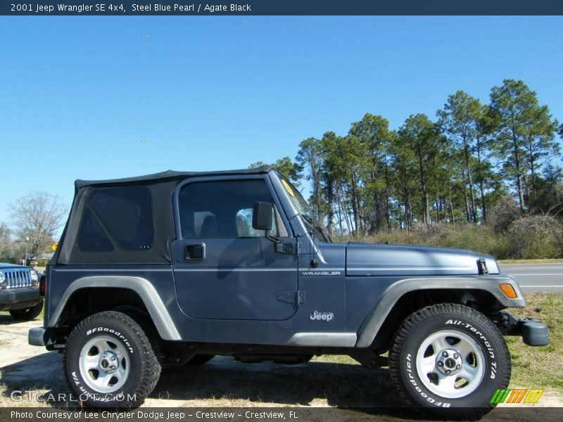 Steel Blue Pearl / Agate Black 2001 Jeep Wrangler SE 4x4